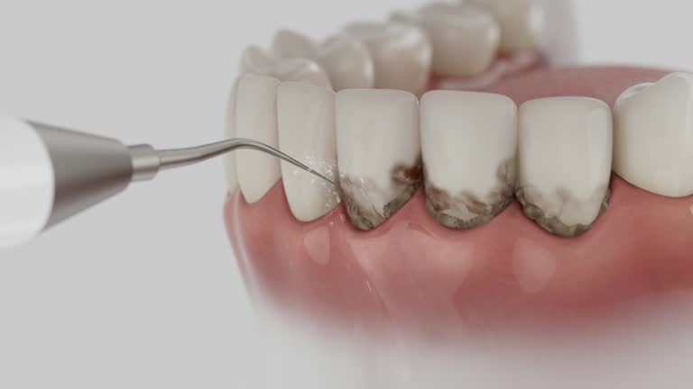 Reliable Dental contractor in Murfreesboro, NC by Dentist Open Now